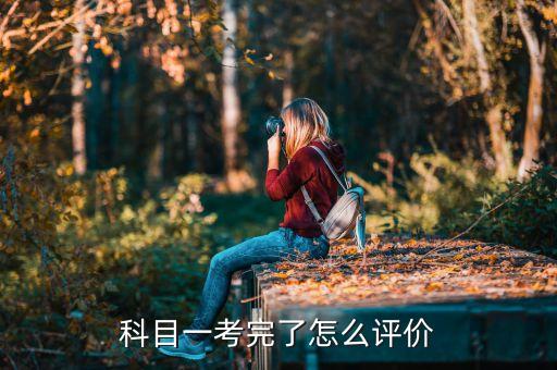 考駕照評價,如何評價駕考...